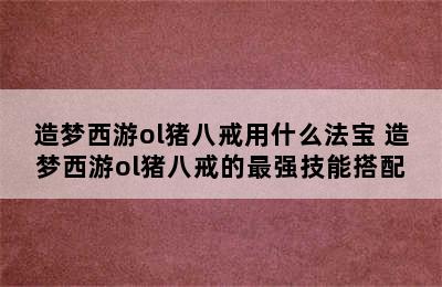 造梦西游ol猪八戒用什么法宝 造梦西游ol猪八戒的最强技能搭配